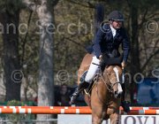Le Jeune Once TosTour2013- S5 2562 : Arezzo, Arezzo Equestrian Centre, Le Jeune Philippe, Once de Kreisker, Toscana Tour 2013, foto di Stefano Secchi ©